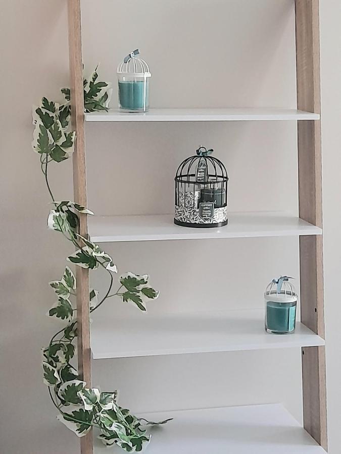 Le Scandinave Apartment Joigny Bagian luar foto
