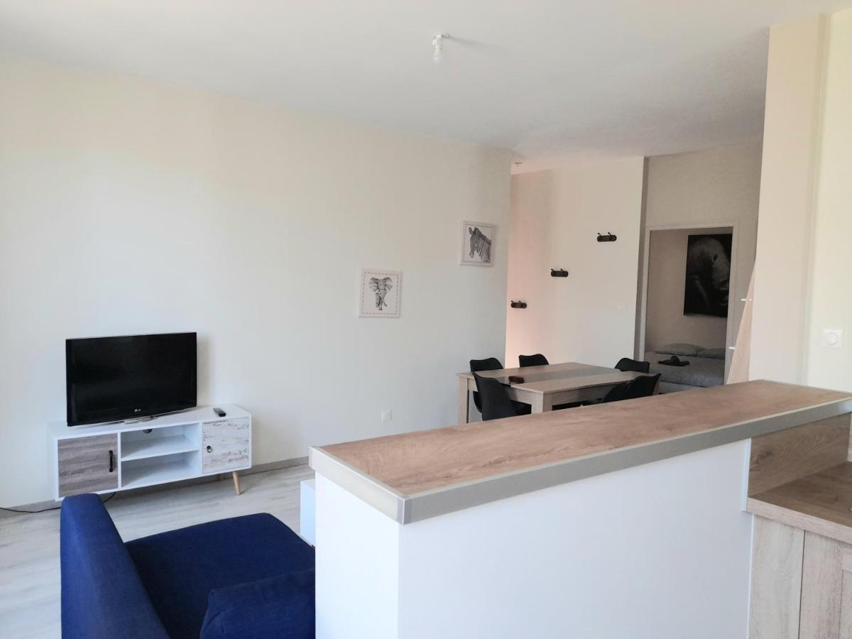 Le Scandinave Apartment Joigny Bagian luar foto